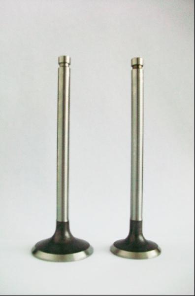 engine valve for all kinds of vehicle