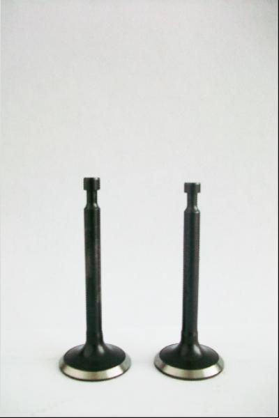 engine valve for all kinds of vehicle